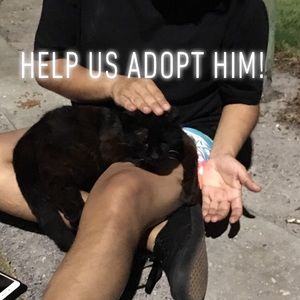 Lowered prices until we have enough to adopt him!!